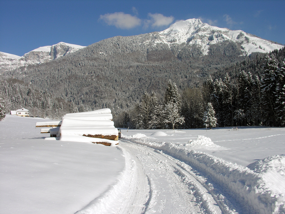 Pedavena (Bl), Parco Nazionale Dolomiti Bellunesi, Pian d
