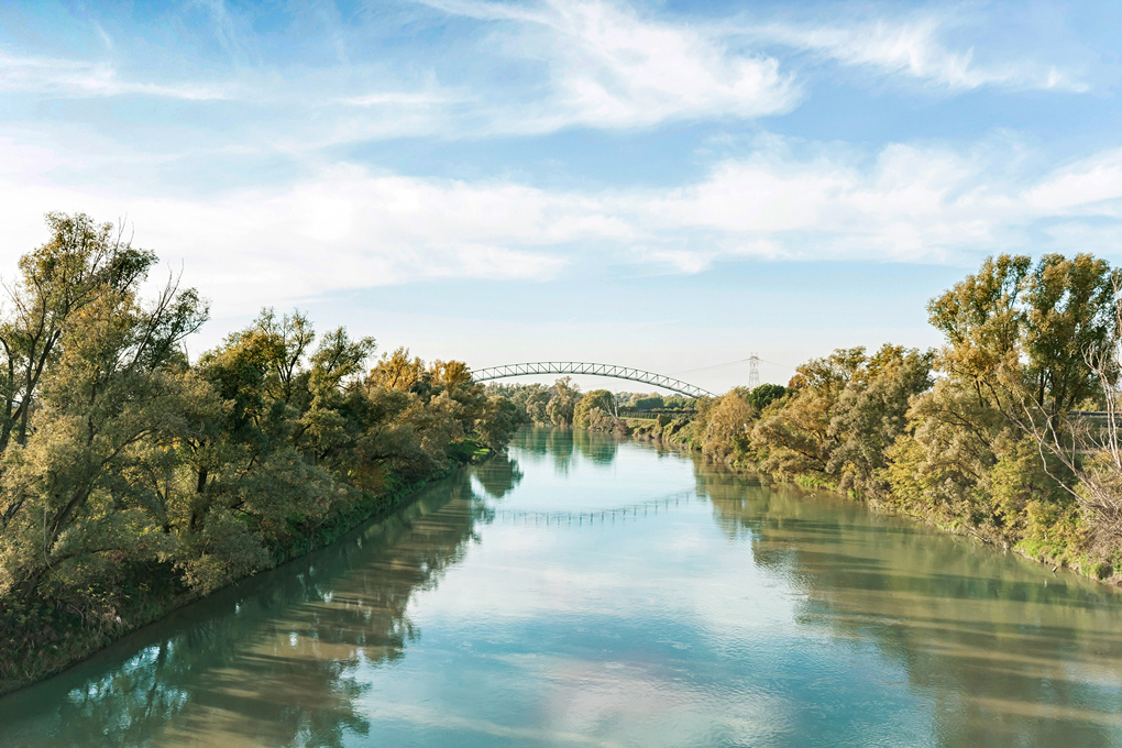 Ronco all'Adige (Vr), frazione di Albaro, Fiume Adige.