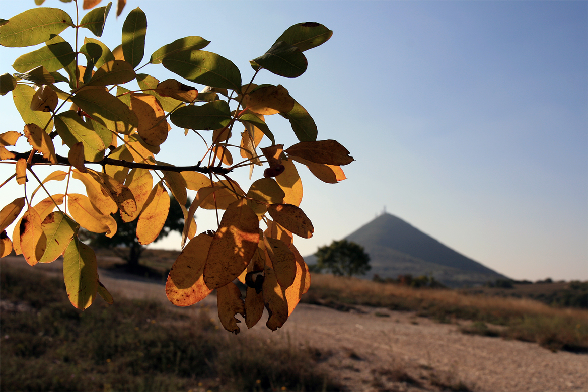 Baone (Pd), Parco Regionale dei Colli Euganei, Panorama verso il Monte Cero.