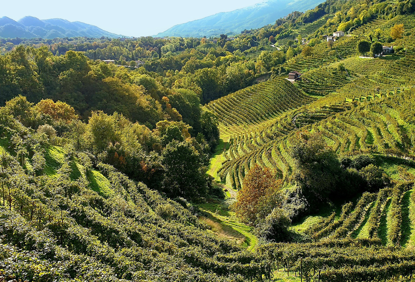 Cison di Valmarino (Tv), Frazione di Rolle.