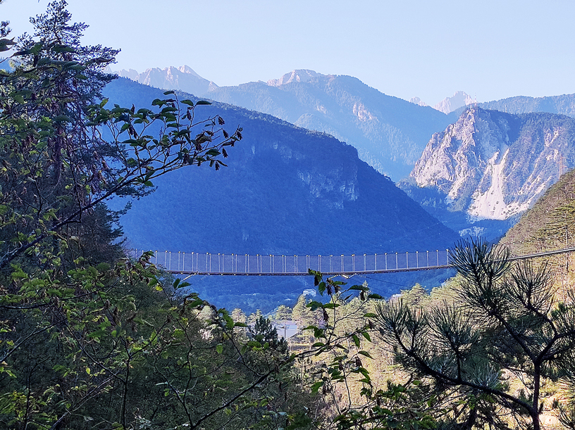 Perarolo di Cadore (Bl), La Val Montiona ed il Ponte Tibetano.