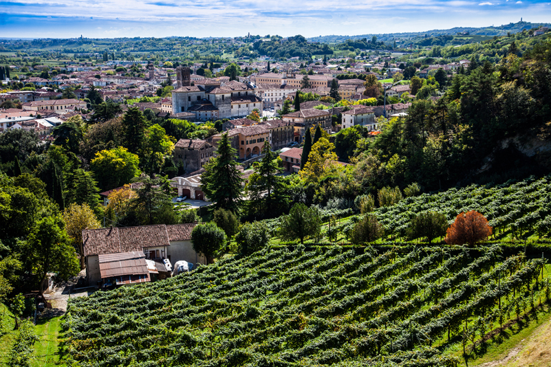 Vittorio Veneto (Tv), Veduta aerea