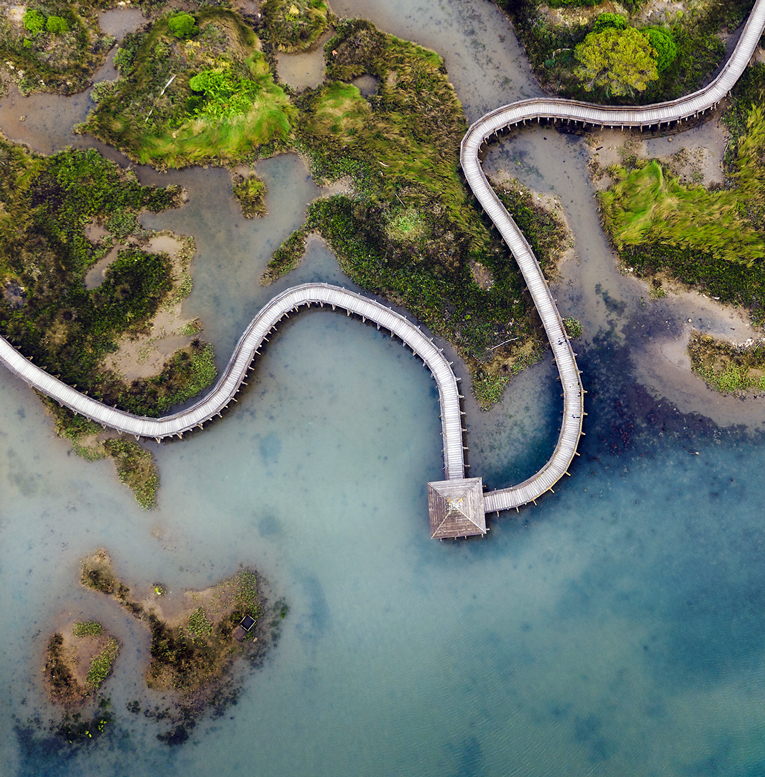 Rosolina (Ro), Giardino botanico litoraneo di Porto Caleri. Veduta aerea.