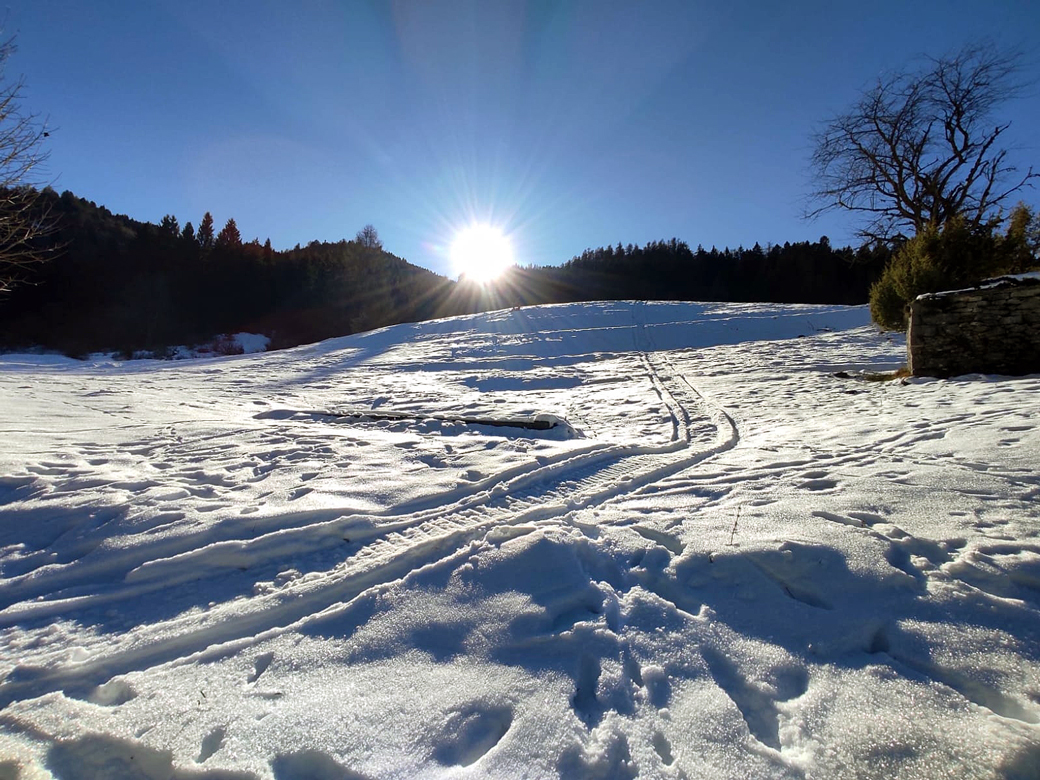 Limana (Bl) località Valmorel.