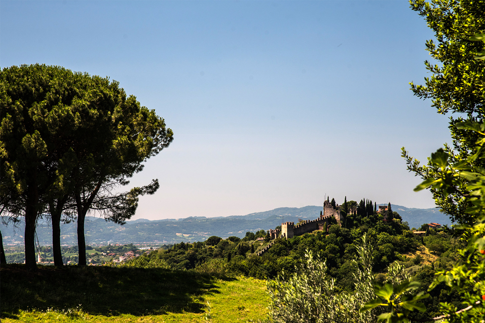 Marostica (Vi), Colline di San Benedetto.