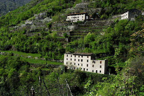 Valstagna (VI), contrada Mattietti e le sue "masiere"