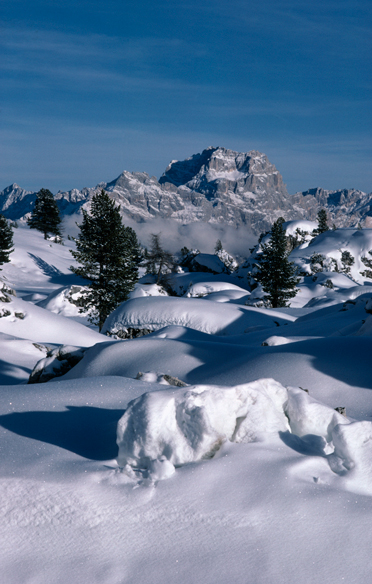 Gruppo del Sorapìss (Bl)