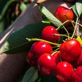 Visualizza ingrandimento