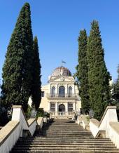 Visualizza ingrandimento