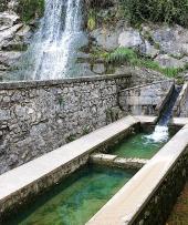 Visualizza ingrandimento